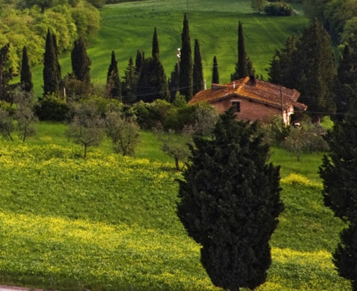 粉象生活可以赚钱吗