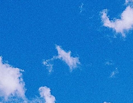 粉象生活怎么用视频发布