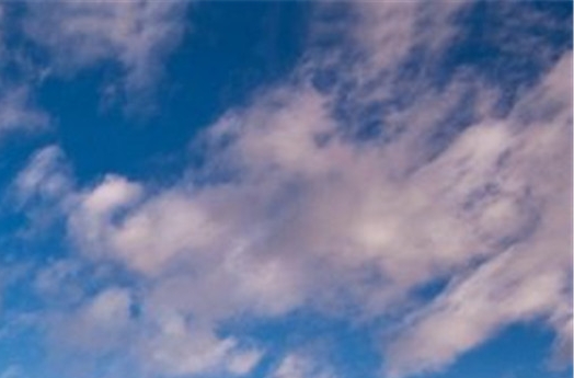 粉象生活有人开店吗