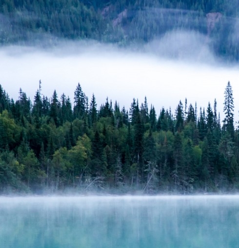 粉象生活拉不到人能赚佣金吗