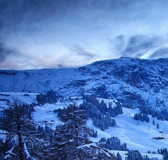 粉象生活合伙人是什么级别