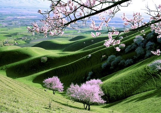 粉象生活创始人是谁