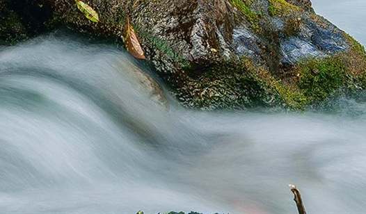 粉象生活升级VIP必须交钱