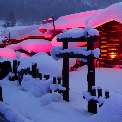 李红星粉象生活