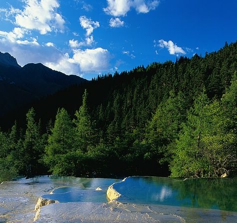 粉象生活邀请码怎么选