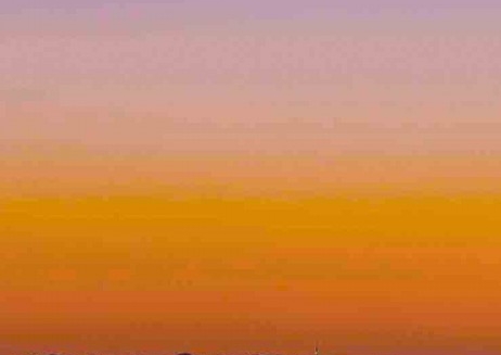 粉象生活淘礼金