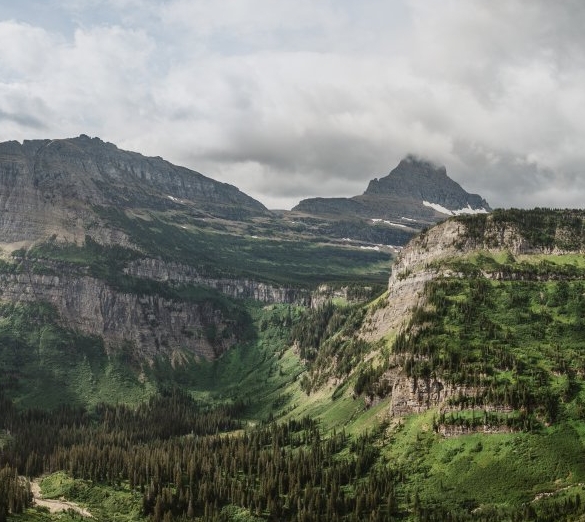 粉象生活的佣金