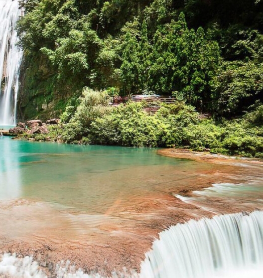 粉象生活下载app