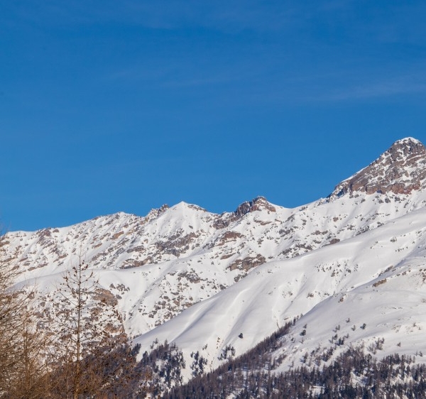 粉象生活怎么赚钱