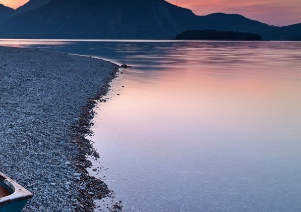 粉象生活手机在哪里登录