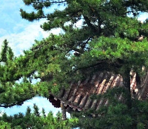 粉象是什么平台