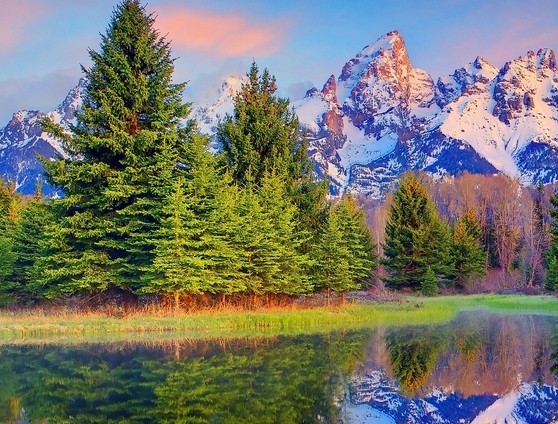 粉象合伙人是永久的吗