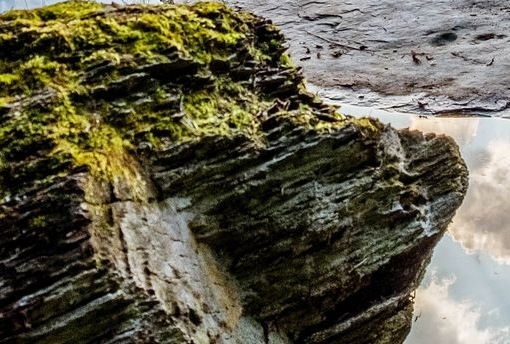 怎么在粉象生活开直播