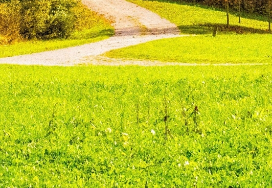 粉象生活对接淘宝