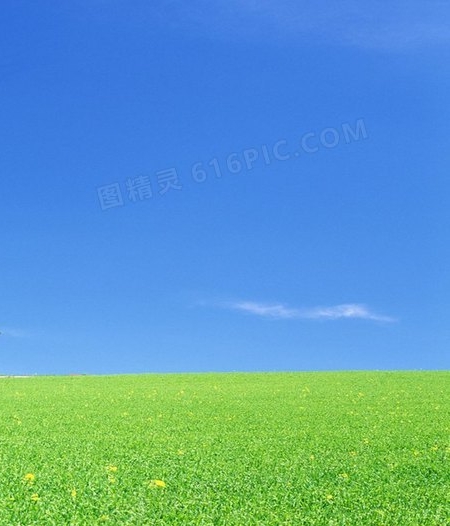 粉象生活如何注册淘宝