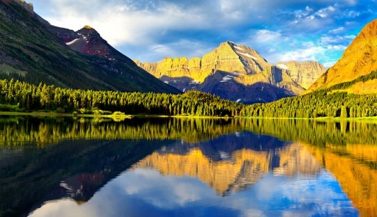 推广粉象生活项目