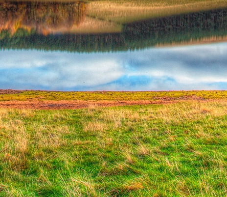 粉象生活分享后怎么没有佣金