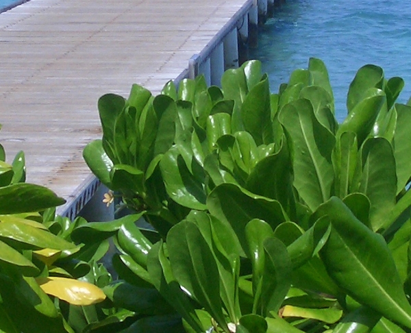 粉象生活提现怎么不到账