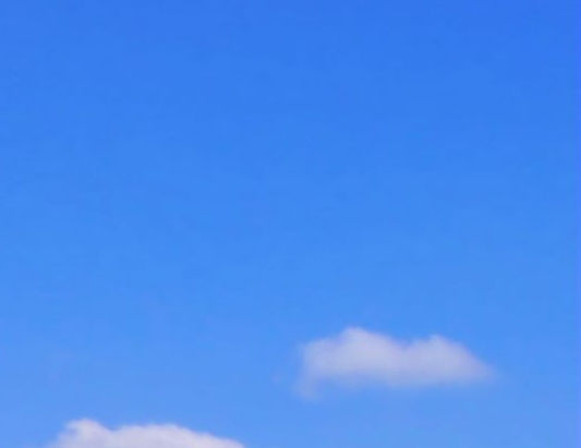 有账号怎么登录粉象生活