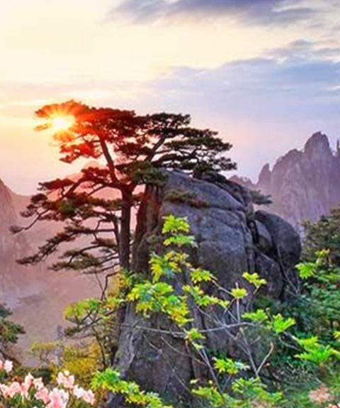粉象生活怎么赚钱
