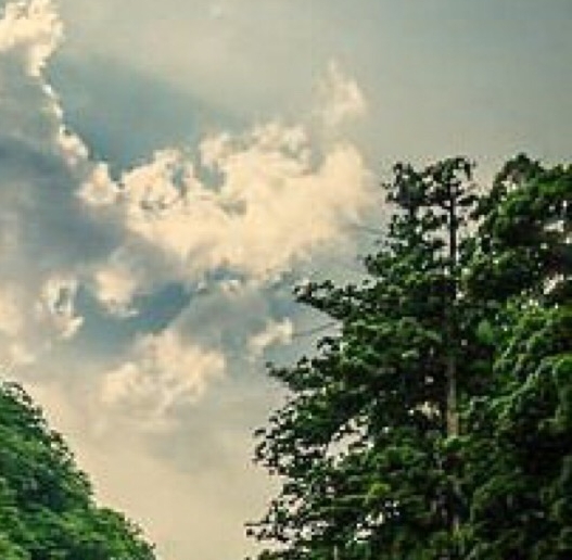 粉象生活可以赚钱吗