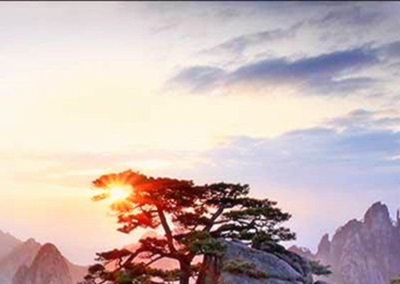 粉象生活有什么好的平台