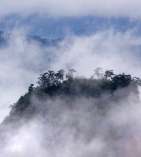 粉象生活怎么填写邀请码