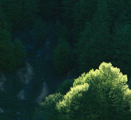 粉象生活佣金如何提取