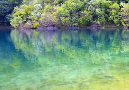 粉象生活淘宝会员价格