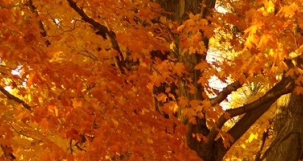 粉象生活商品图片