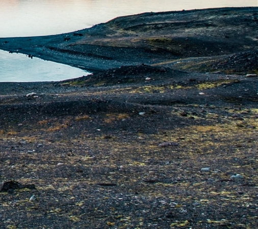 粉象生活类似APP