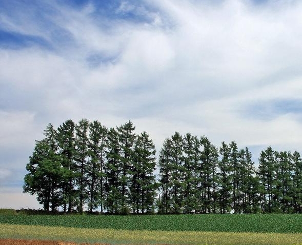 粉象生活银行卡