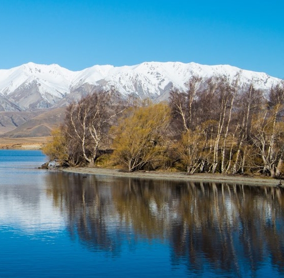 粉象生活手机号注销了怎么办