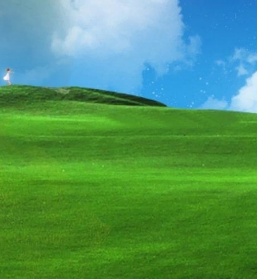 中山粉象生活能拿几代佣金