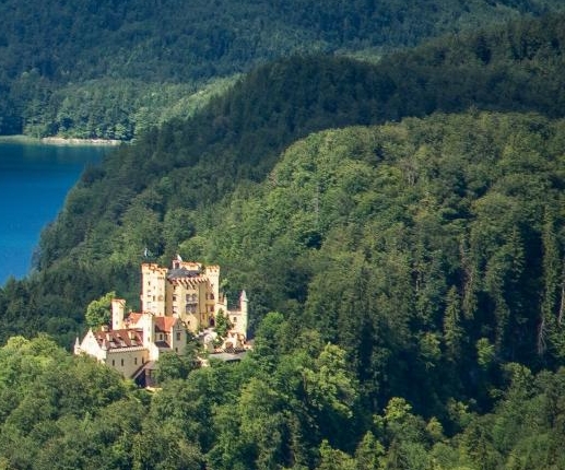 粉象生活怎么赚钱