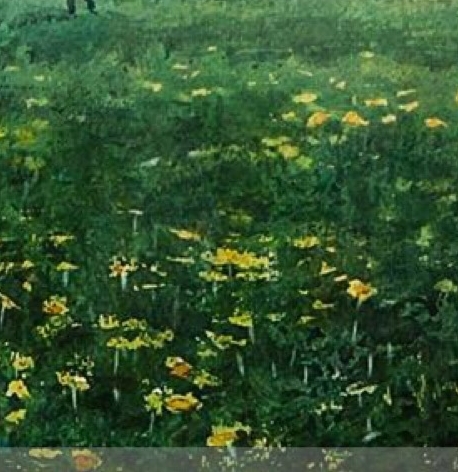 粉象生活下载app