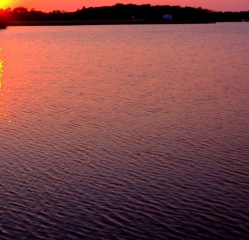 粉象生活副业平台粉象生活