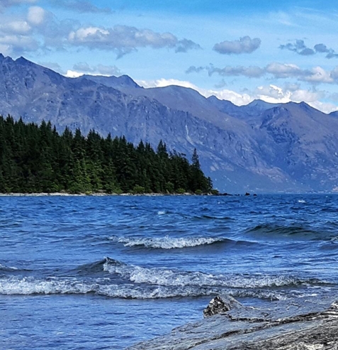 粉象生活手机app