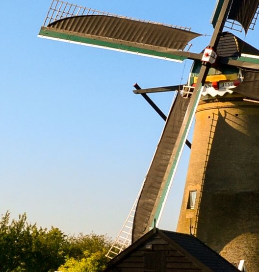 粉象生活 迅雷下载