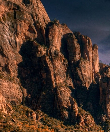 粉象生活品牌营销