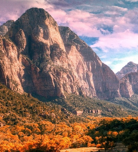 粉象生活是什么?