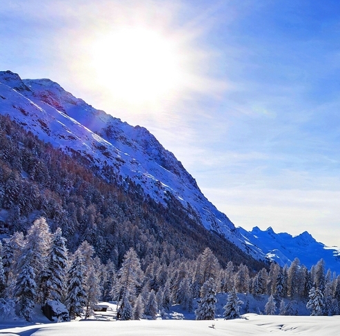 莱芜最低生活保障