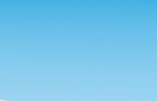 粉象生活类似平台