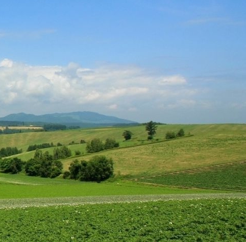 粉象生活合法吗