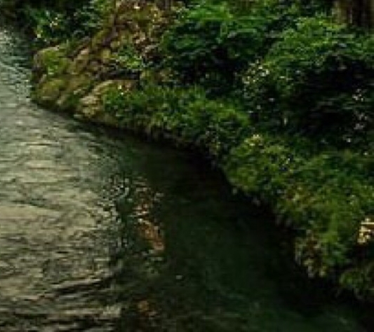 粉象生活下载