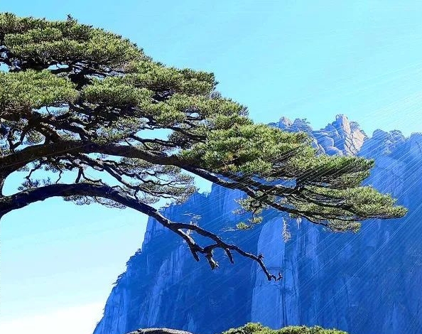 买手妈妈和粉象生活哪个好