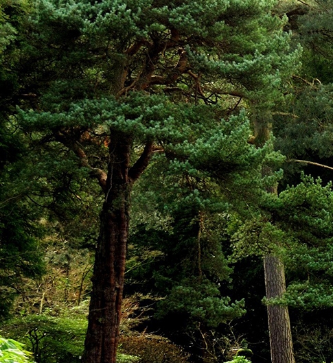 粉象生活可以赚钱吗