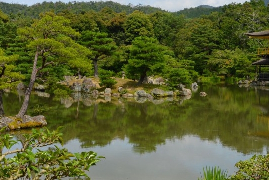 粉象生活返佣是真的吗