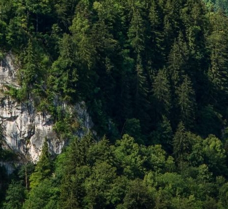 粉象如何删除邀请人