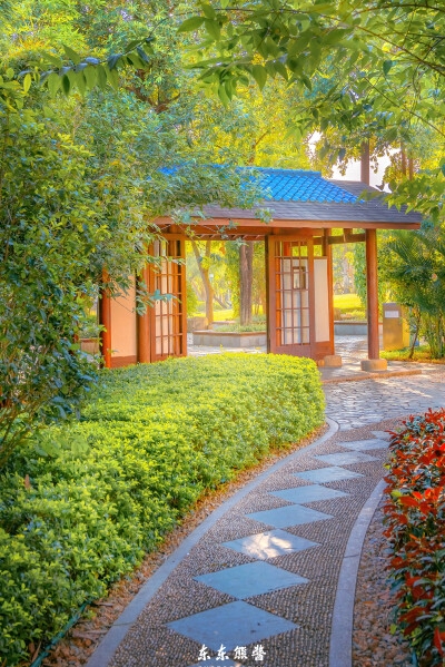 粉象生活人员
